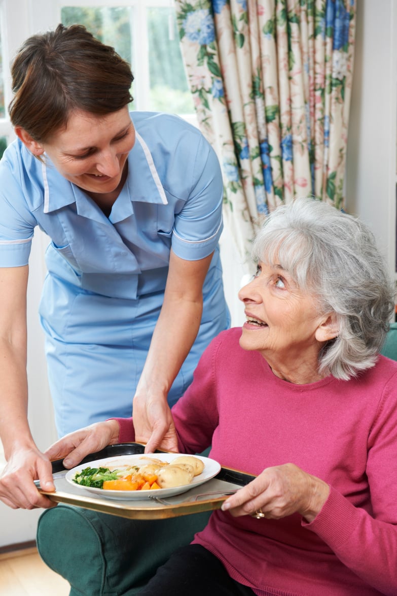 Carer Serving Lunch To Senior Woman